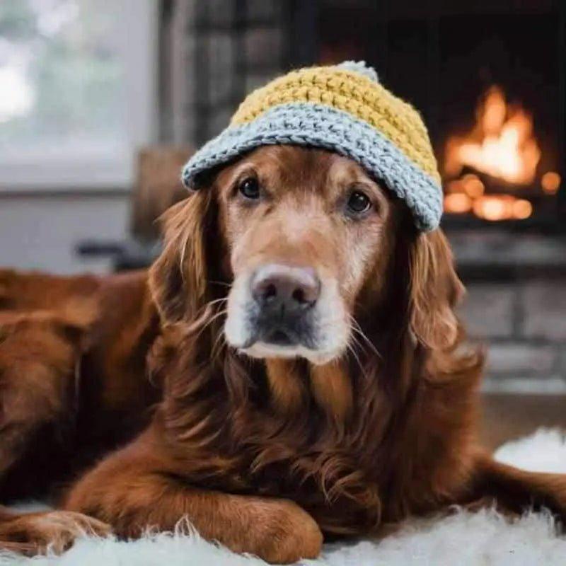 Bien habiller son chien pour l’hiver