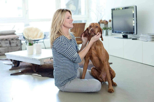 L’importance du brossage et le soin du chien