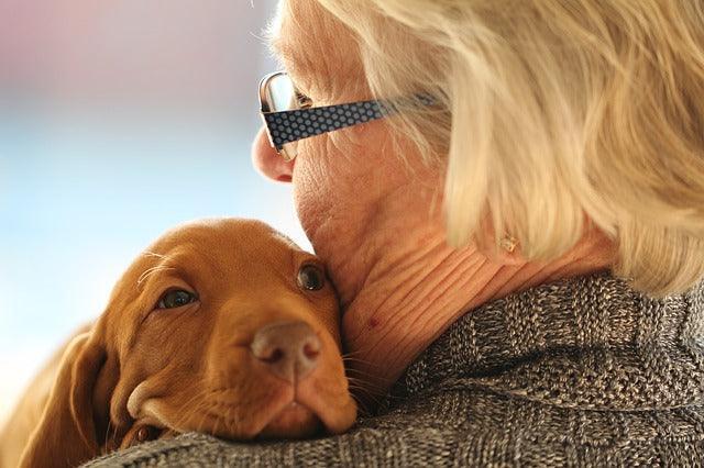 Quel chien choisir quand on a 60 ans ?