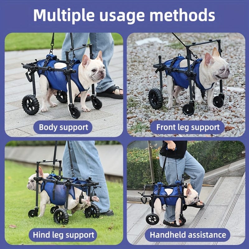 Fauteuil roulant pour chien – Mobilité, rééducation & confort optimal