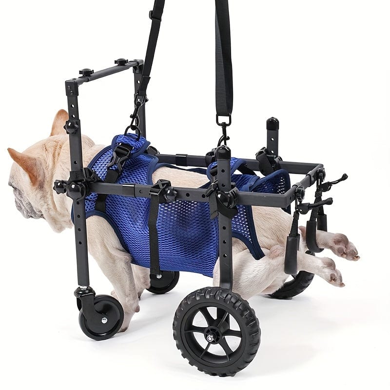 Fauteuil roulant pour chien – Mobilité, rééducation & confort optimal