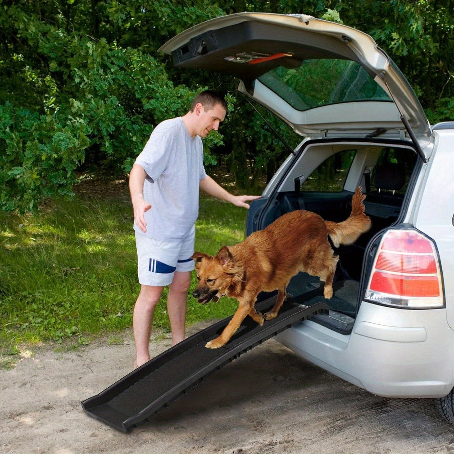 Rampe pliable pour chien – Accès voiture, escaliers & coffre | Jusqu’à 90 kg