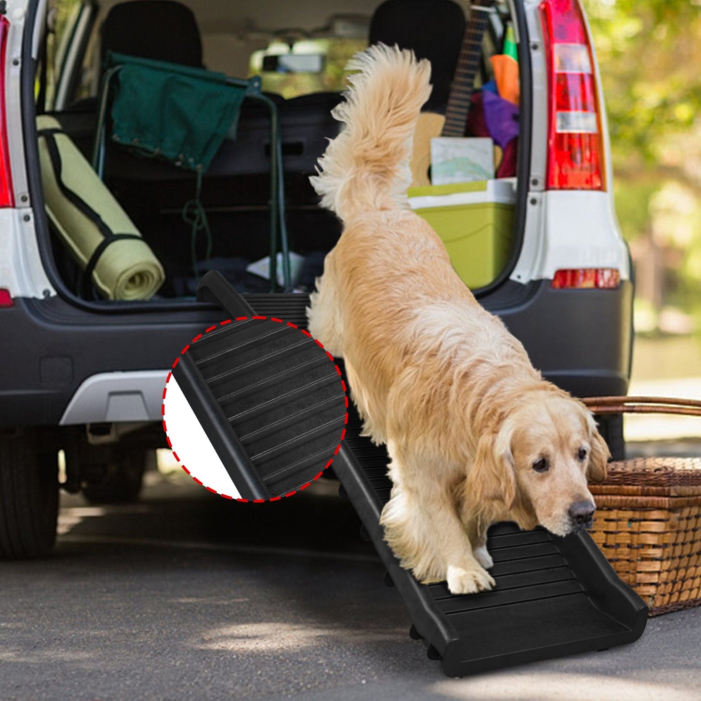 Rampe pliable pour chien – Accès voiture, escaliers & coffre | Jusqu’à 90 kg