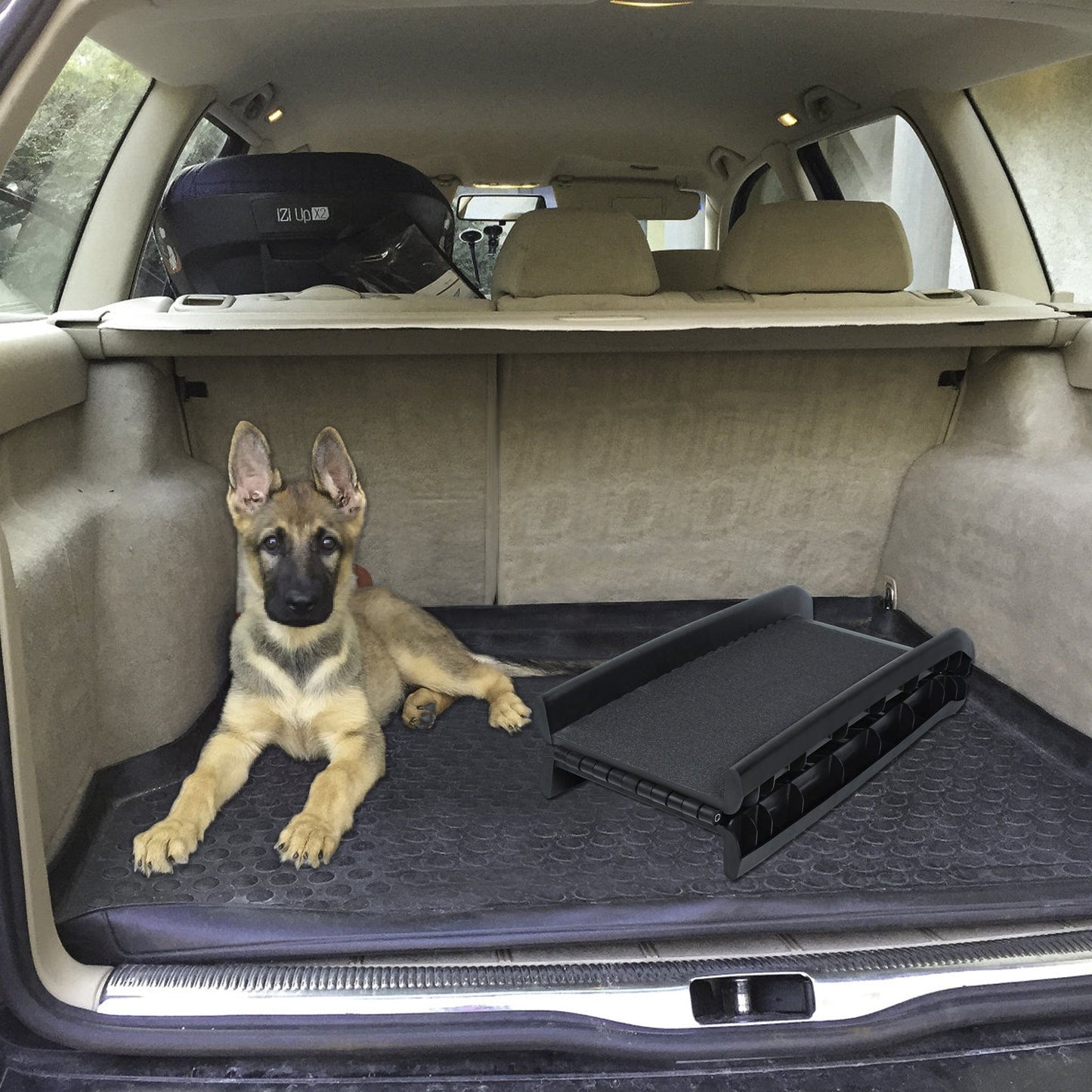 Rampe pliable pour chien – Accès voiture, escaliers & coffre | Jusqu’à 90 kg