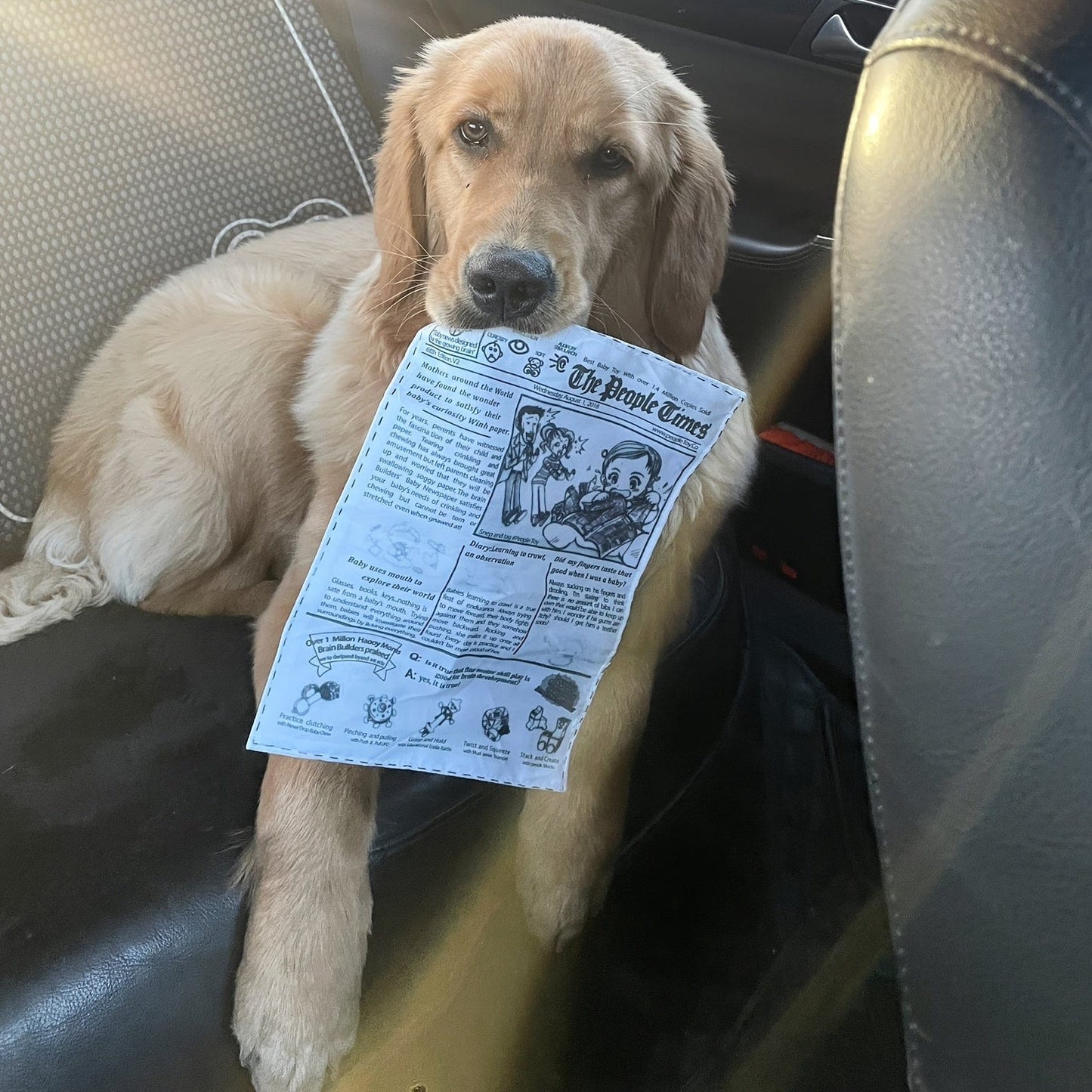 Jouet interactif pour chien – Imitation journal & cartes de poker