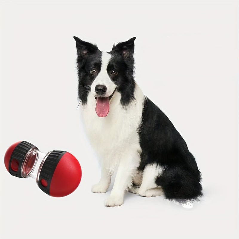 Jouet interactif pour chien – Balle distributrice de friandises éducative