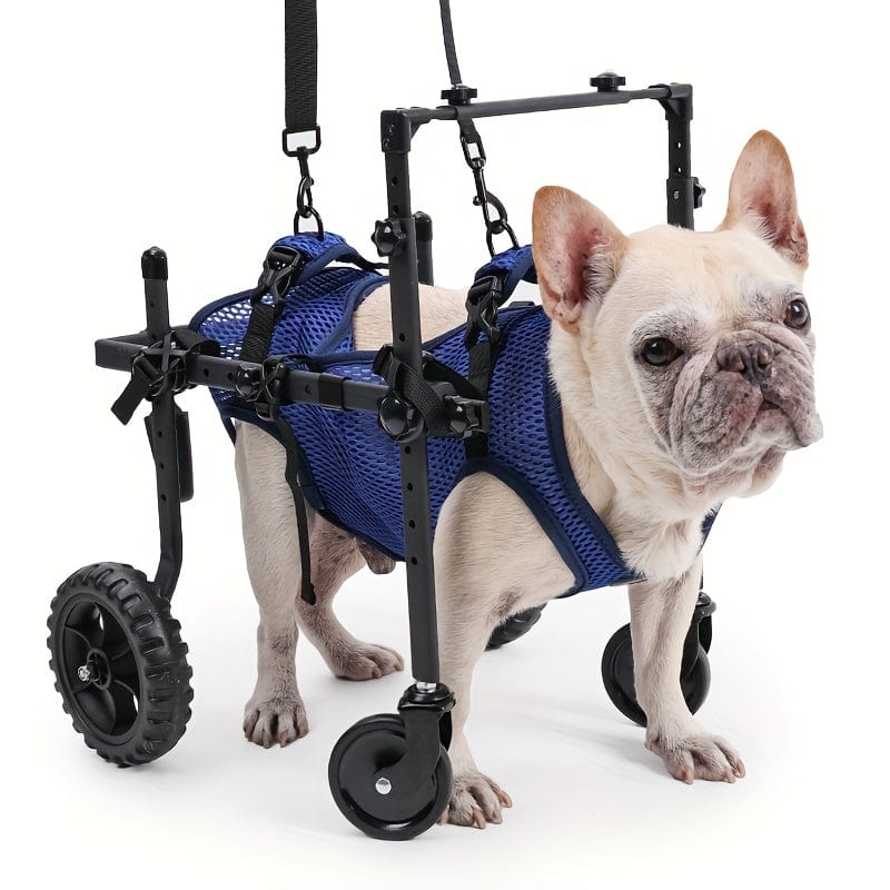Fauteuil roulant pour chien – Mobilité, rééducation & confort optimal