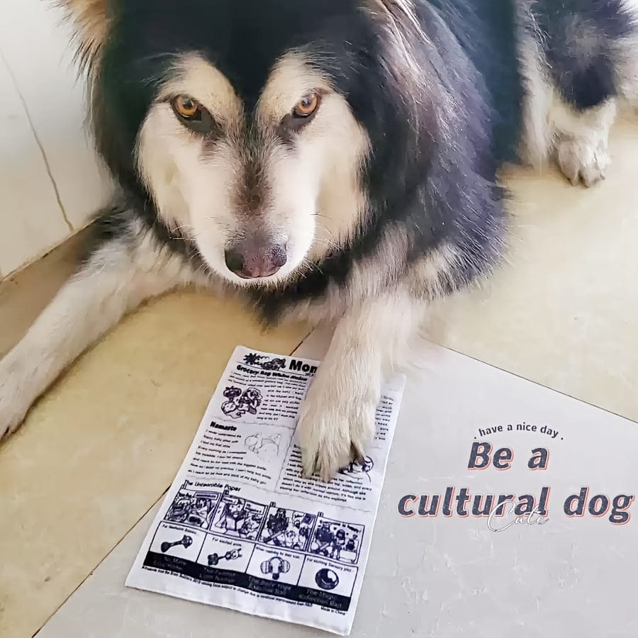 Jouet interactif pour chien – Imitation journal & cartes de poker