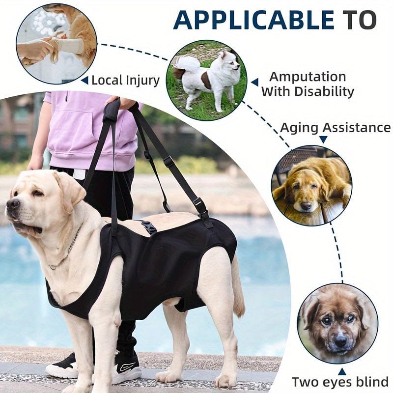 Harnais de soutien pour chien – Aide à la marche, rééducation & levage