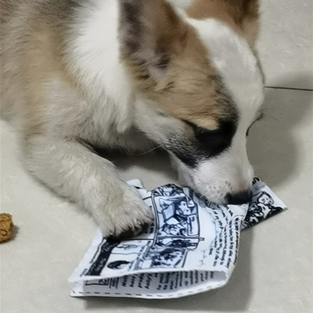 Jouet interactif pour chien – Imitation journal & cartes de poker