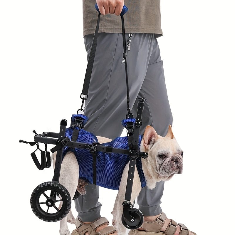 Fauteuil roulant pour chien – Mobilité, rééducation & confort optimal