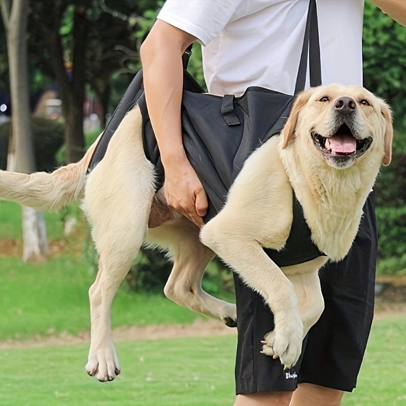 Harnais de soutien pour chien – Aide à la marche, rééducation & levage