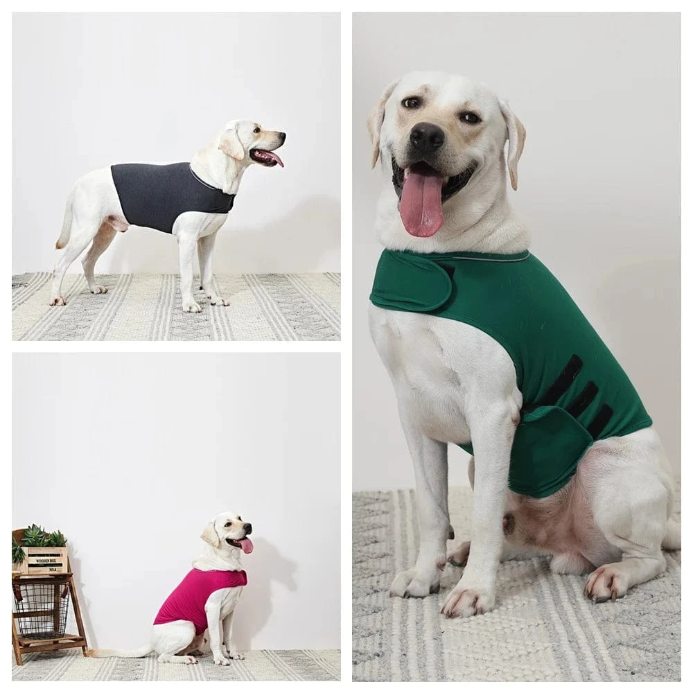 Gilet d’anxiété pour chien XS-XL – Veste réfléchissante anti-stress