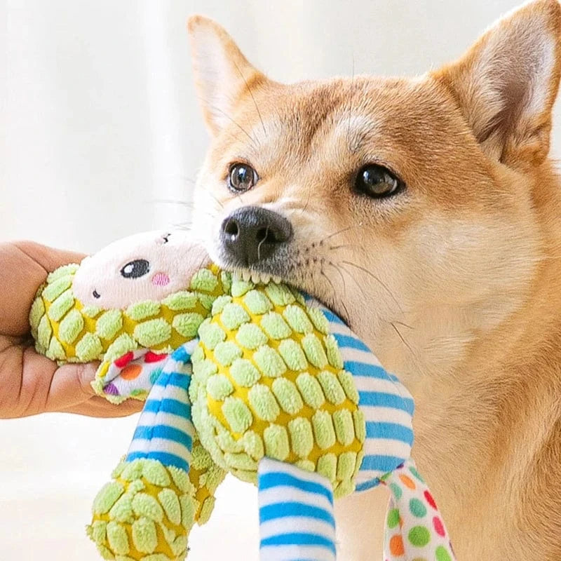 Jouet en peluche pour chien – Résistant, grinçant & nettoyage des dents