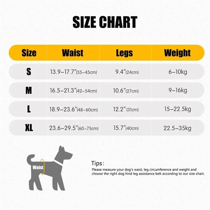 Harnais de levage réglable pour grands chiens – Support jambes arrière