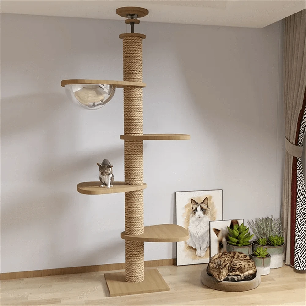 Maison d’arbre réglable chat – Tour du sol au plafond avec hamac