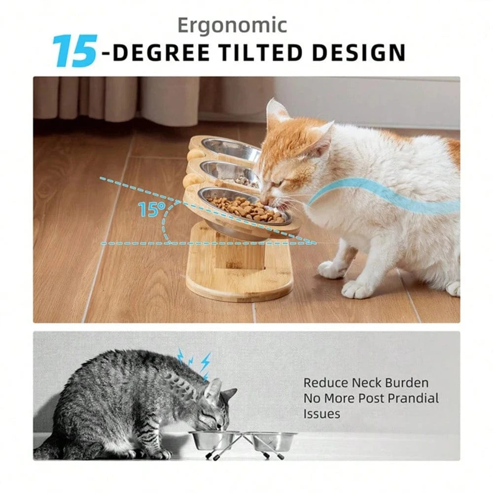 Mangeoire 3-en-1 pour chat & chiot – Bols inox surélevés avec support bois