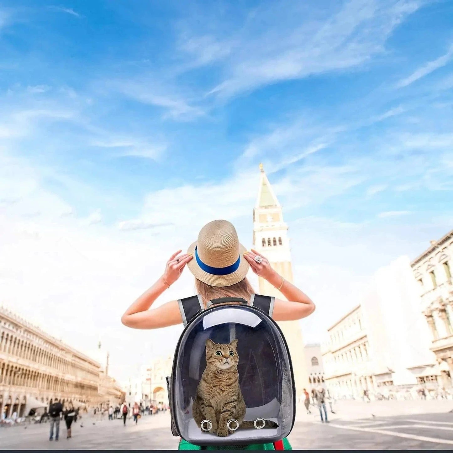 Sac à dos capsule pour animaux – Respirant, bulle transparente, voyage