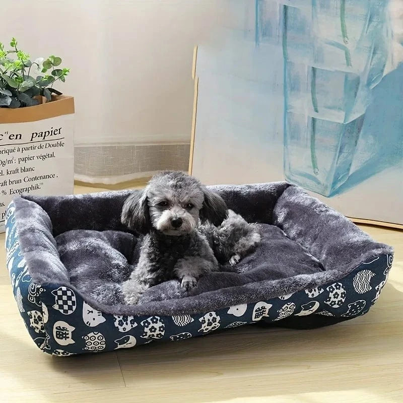 Lit pour chien & chat – Coussin moelleux, panier doux & tapis de canapé