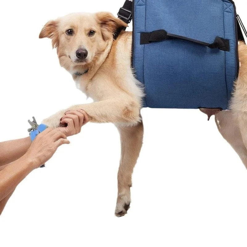 Harnais de soutien chien âgé – Aide marche & récupération