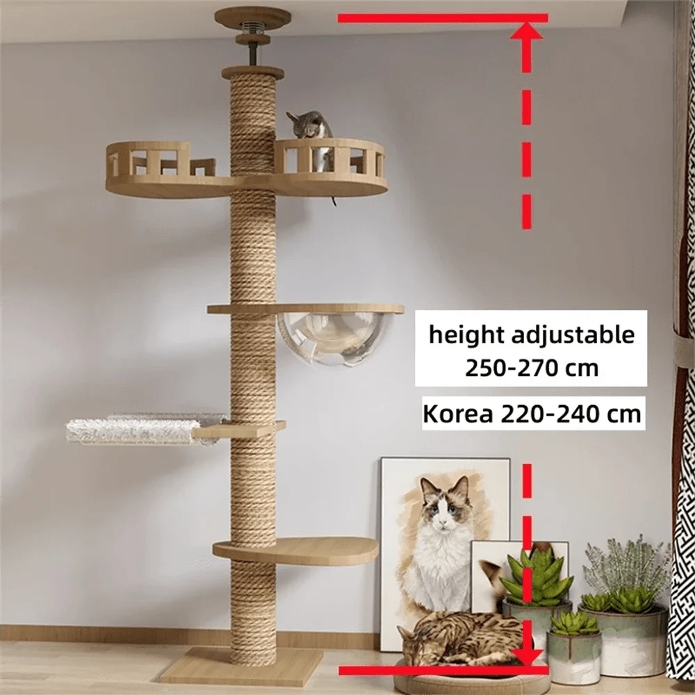 Maison d’arbre réglable chat – Tour du sol au plafond avec hamac