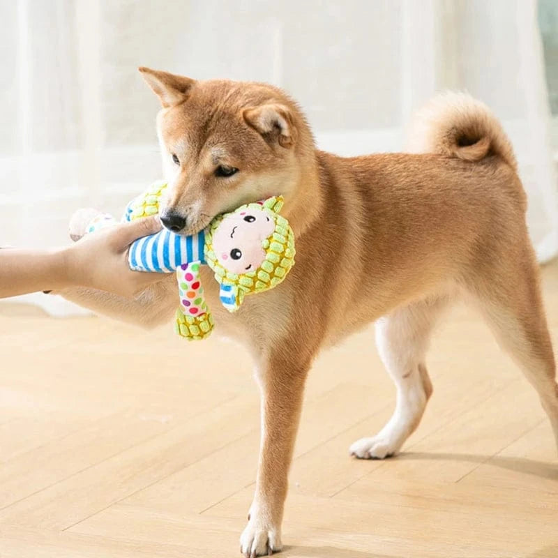 Jouet en peluche pour chien – Résistant, grinçant & nettoyage des dents