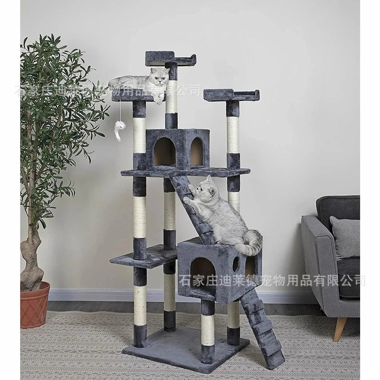 Arbre à chat – Étagère murale haute, design compact