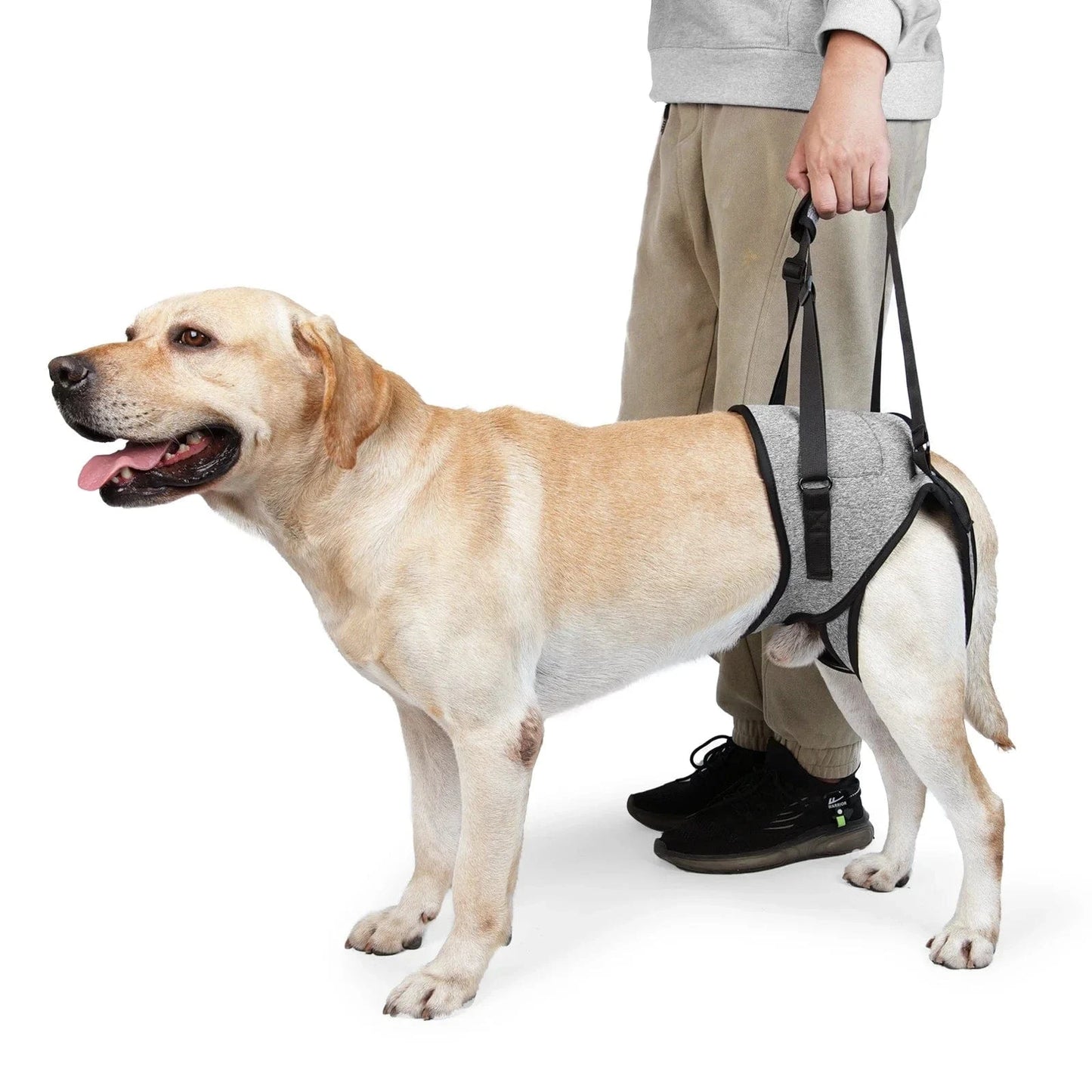 Harnais de levage réglable pour grands chiens – Support jambes arrière