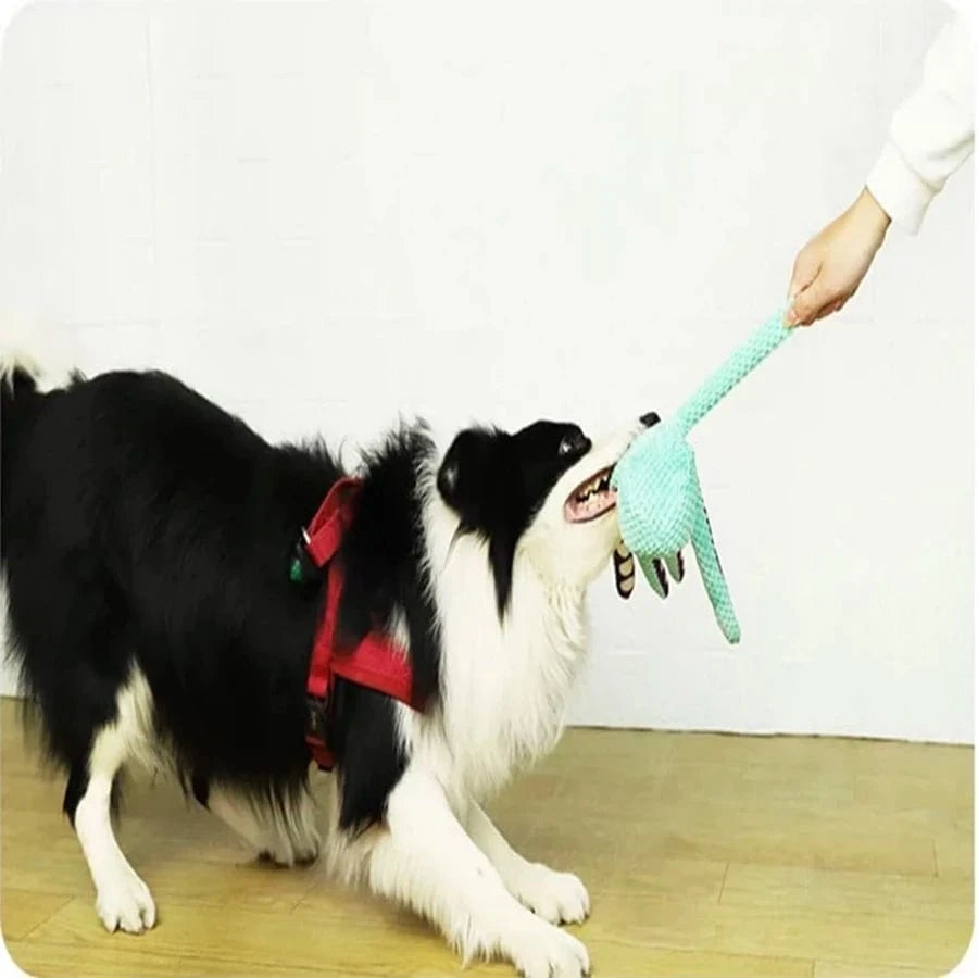 Jouet en peluche pieuvre pour chien – Anti-démolition avec couineur