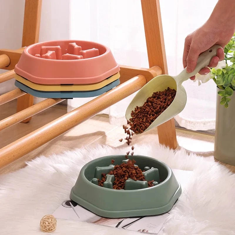 Bol nourriture lente anti-étouffement pour chiens et chats – Multicouleurs