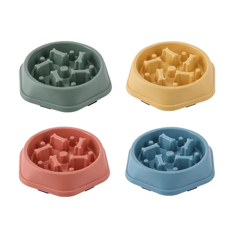 Bol nourriture lente anti-étouffement pour chiens et chats – Multicouleurs