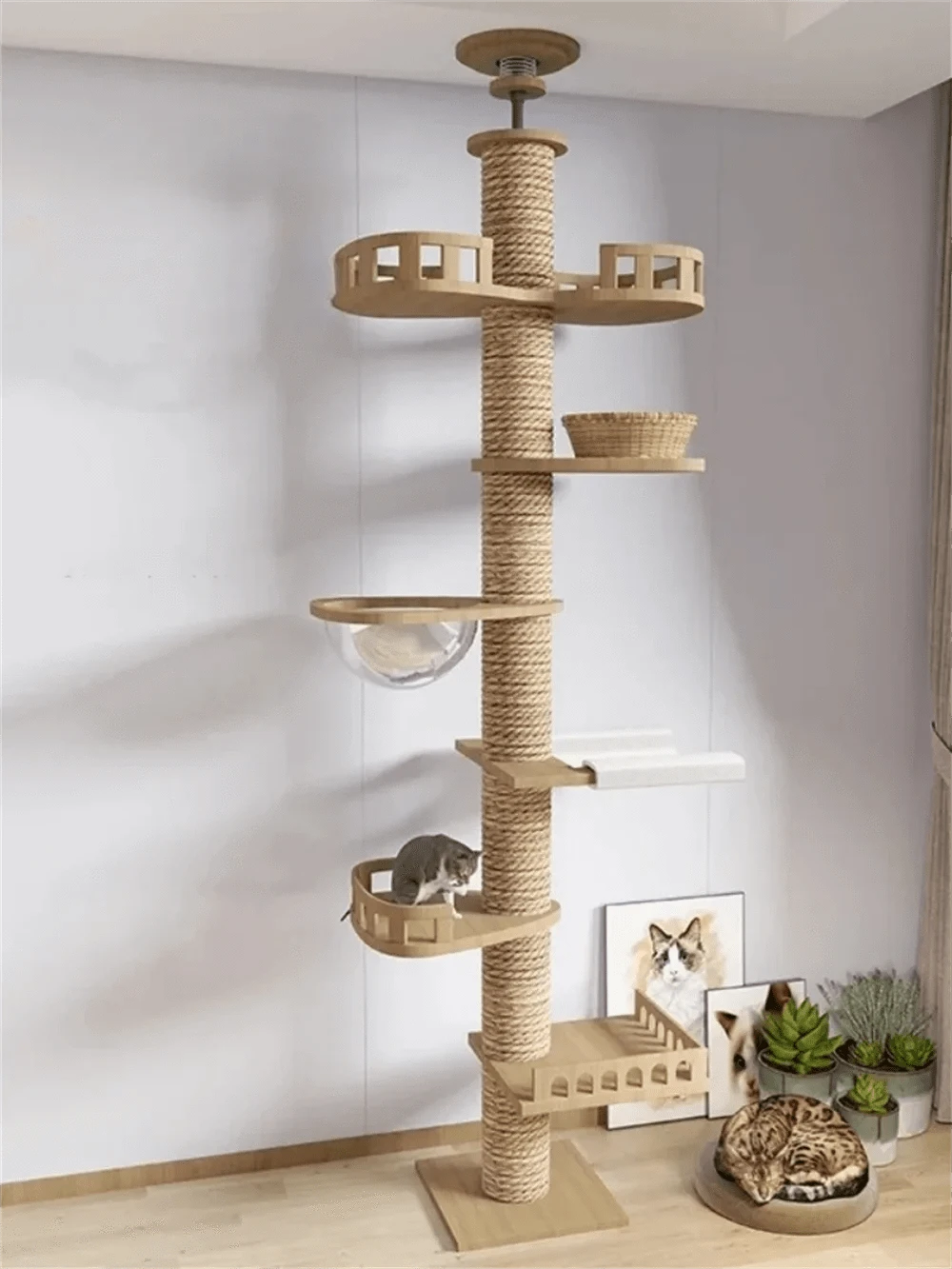 Maison d’arbre réglable chat – Tour du sol au plafond avec hamac