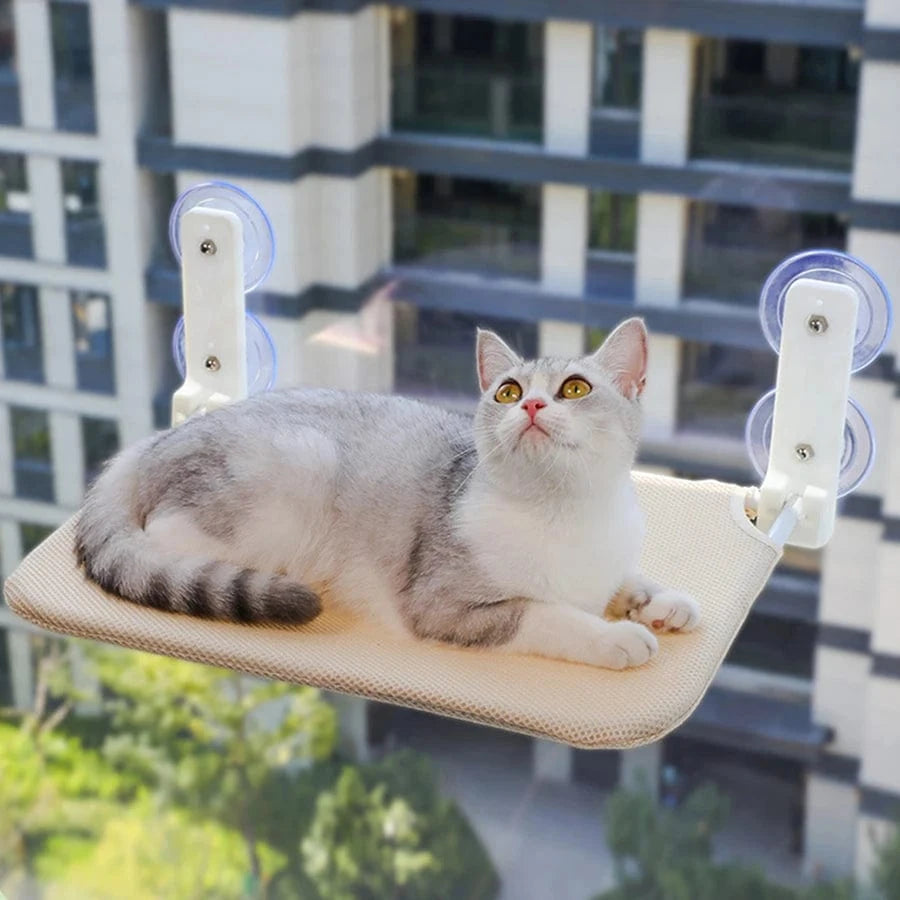 Hamac pliant pour chat – Plateforme fenêtre murale avec double ventouse