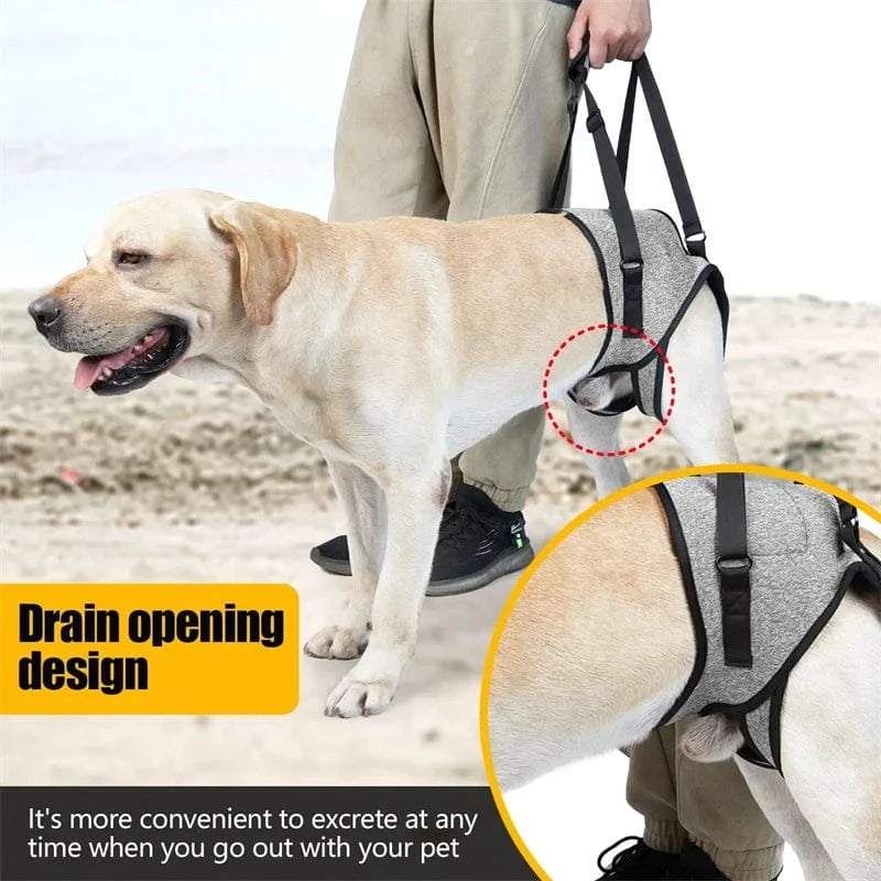 Harnais de levage réglable pour grands chiens – Support jambes arrière