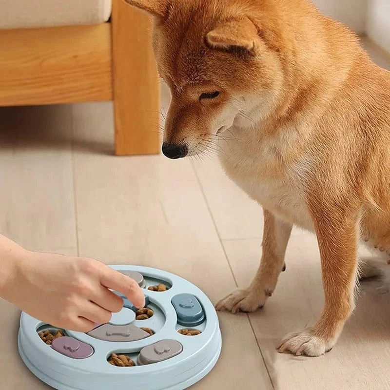 Bol cachette de nourriture pour chien – Jouet éducatif & interactif