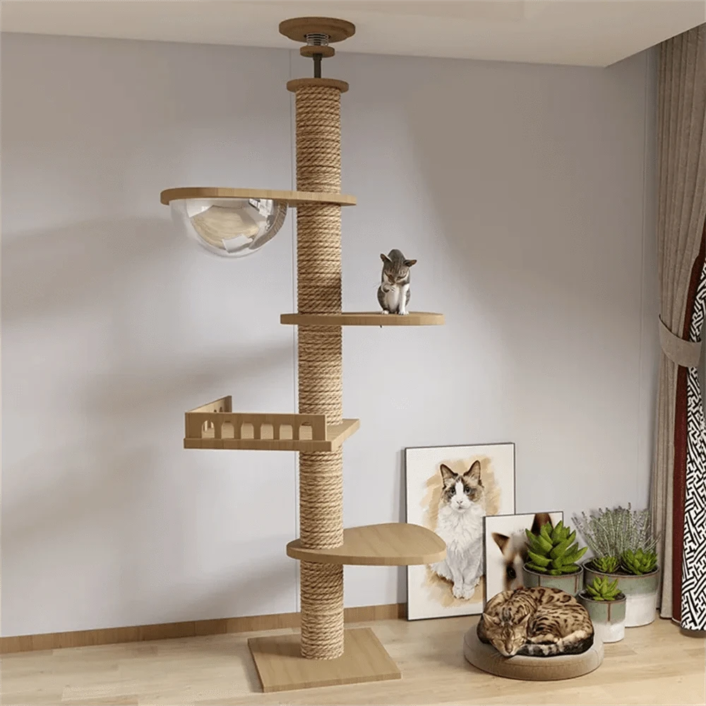 Maison d’arbre réglable chat – Tour du sol au plafond avec hamac