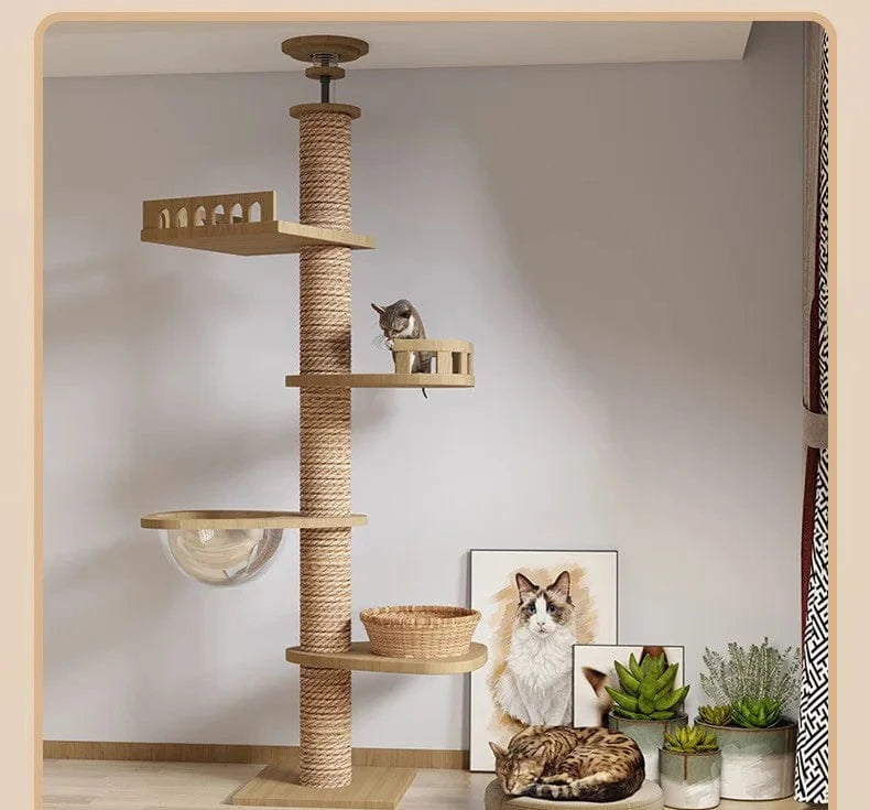 Maison d’arbre réglable chat – Tour du sol au plafond avec hamac
