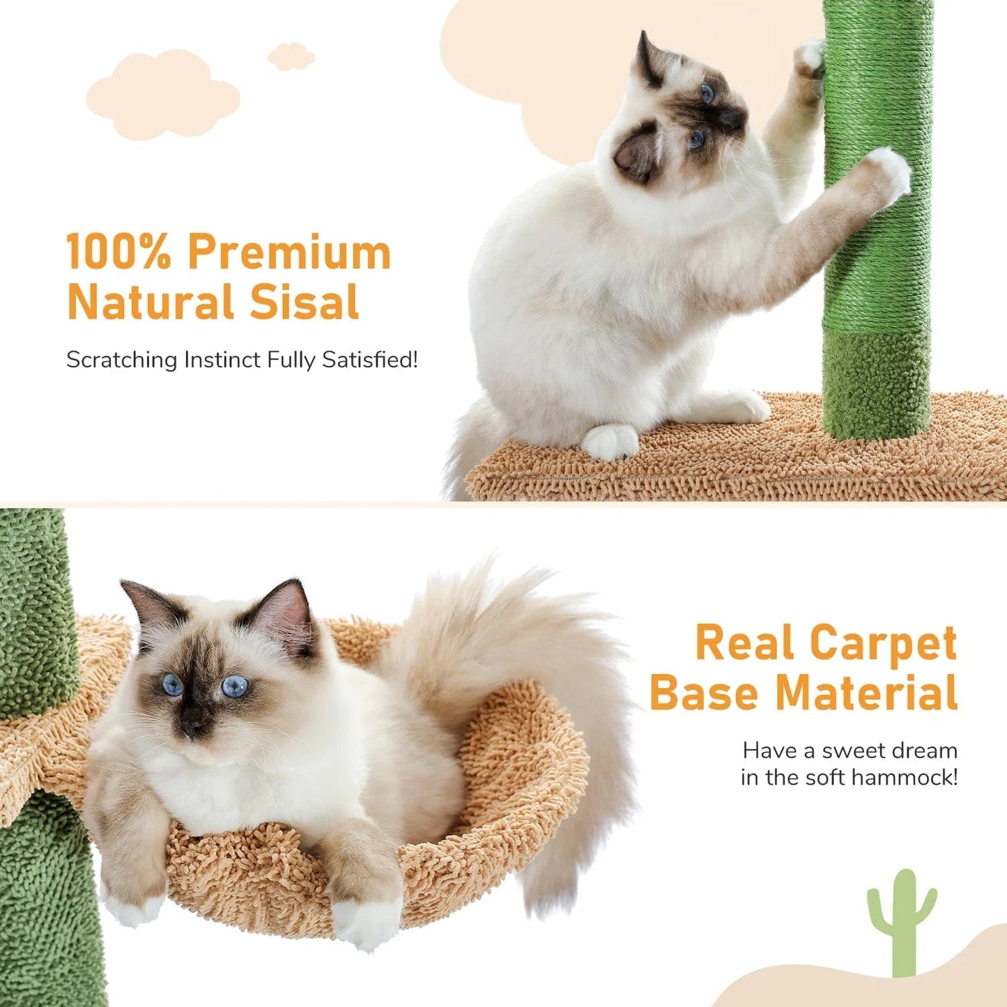 Arbre à chat à 5 niveaux du sol au plafond