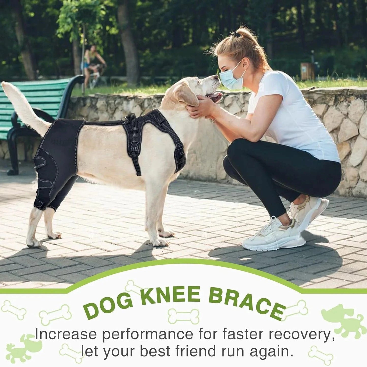Genouillère chien avec support métal – Attelle ACL réglable, arthrite