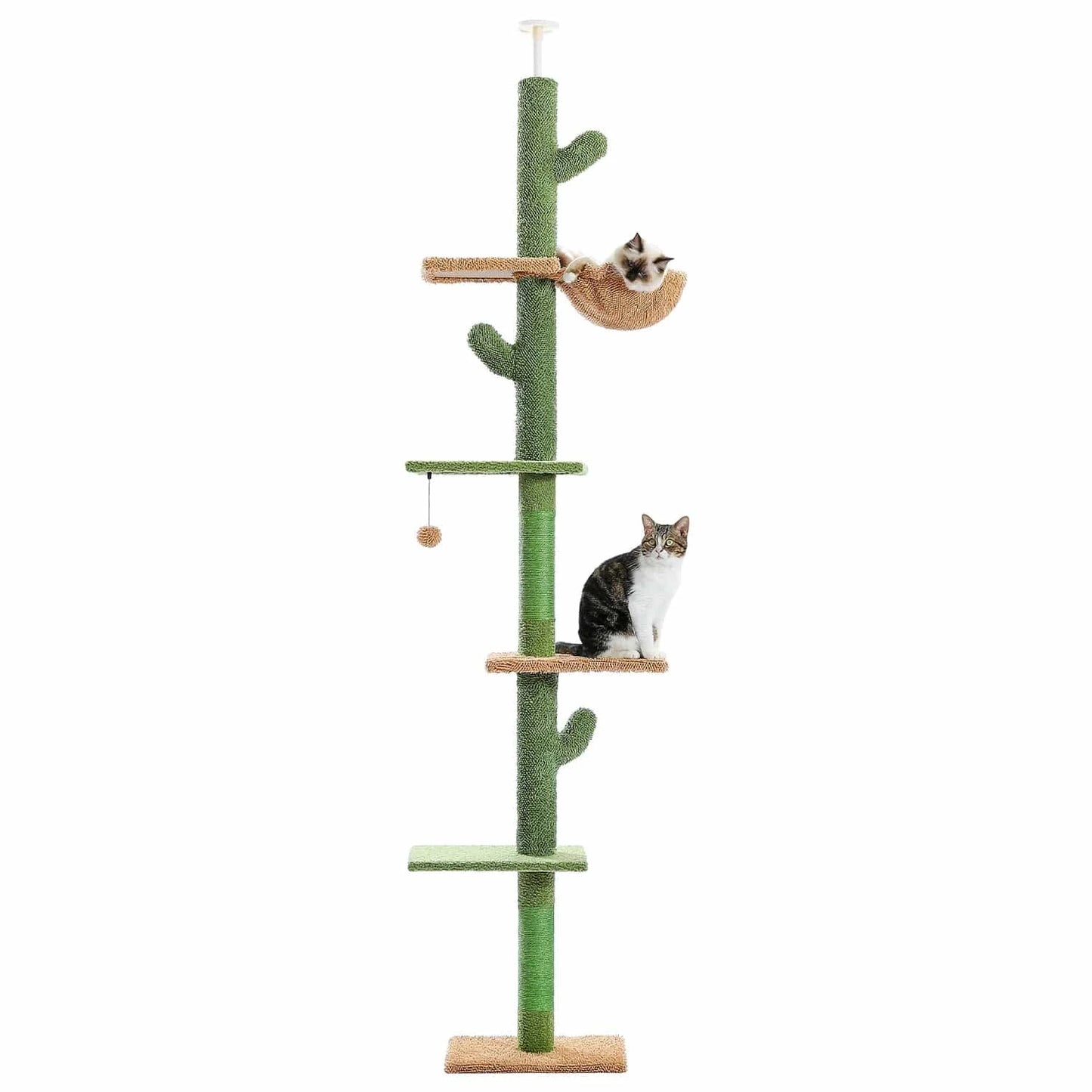 Arbre à chat à 5 niveaux du sol au plafond