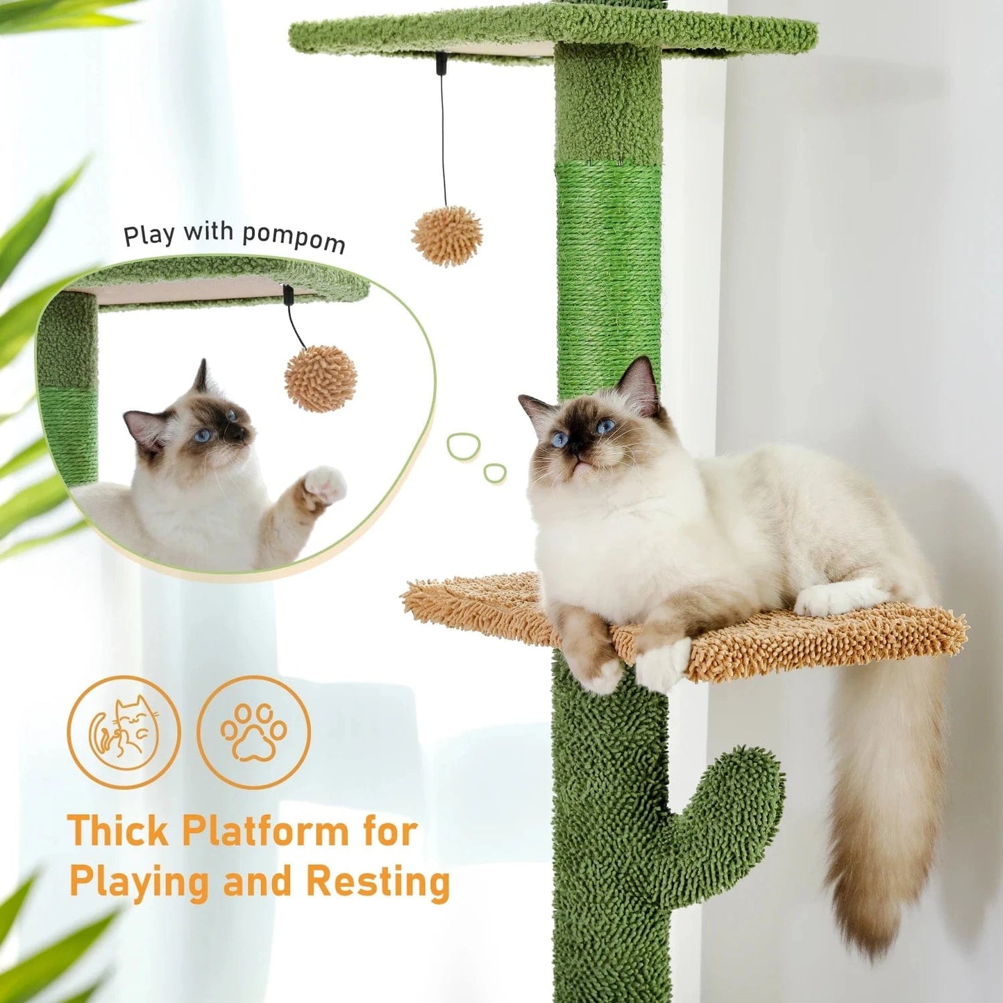 Arbre à chat à 5 niveaux du sol au plafond