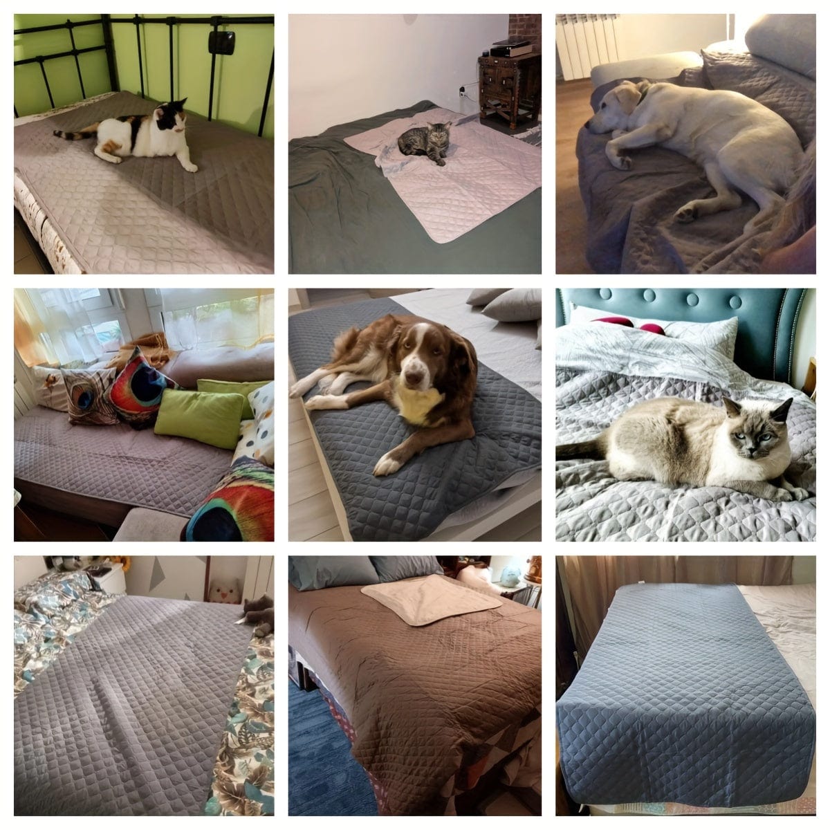 Couverture chien anti-rayures – Plaid doux imperméable & antidérapant