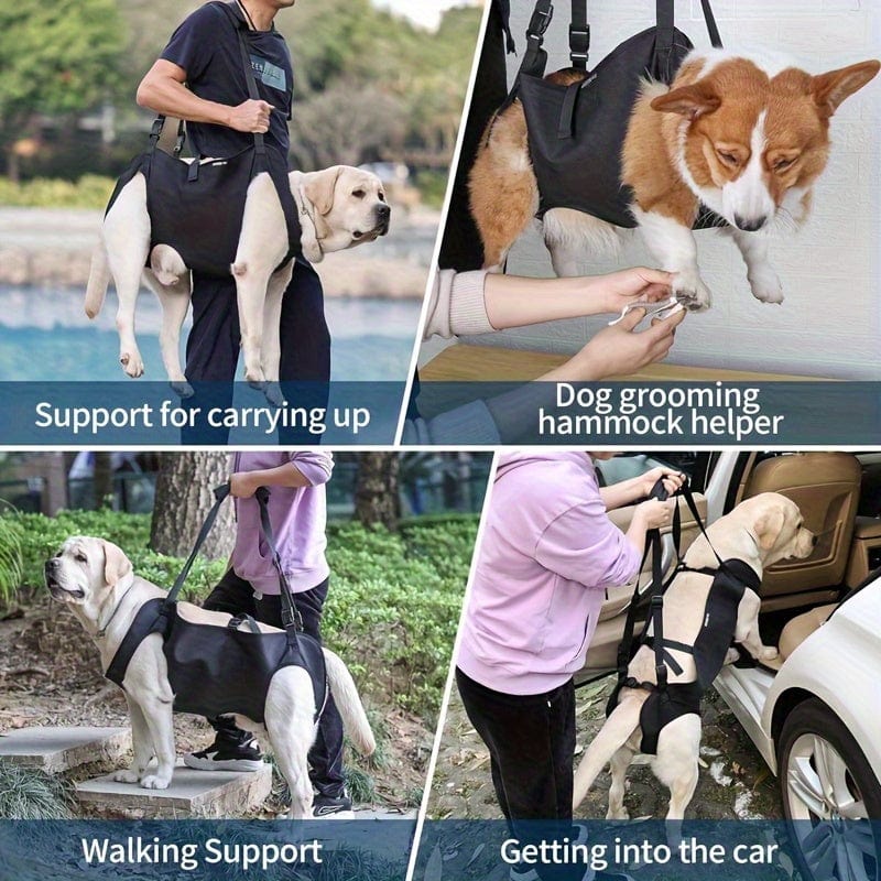 Harnais de soutien pour chien – Aide à la marche, rééducation & levage