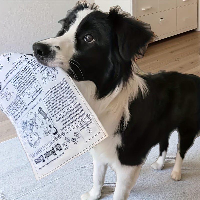 Jouet interactif pour chien – Imitation journal & cartes de poker
