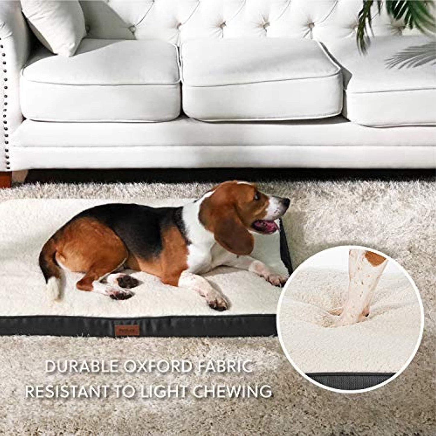 One Pets-Top Coussin Chien Grande Taille Dehoussable - Tapis Chien Orthopédique 112X81X7.6Cm- Lit Pour Chien En Mousse Avec Revêtement De Peluche - Matelas Pour Chien Lavable Et Antidérapant - One PETS-TOP