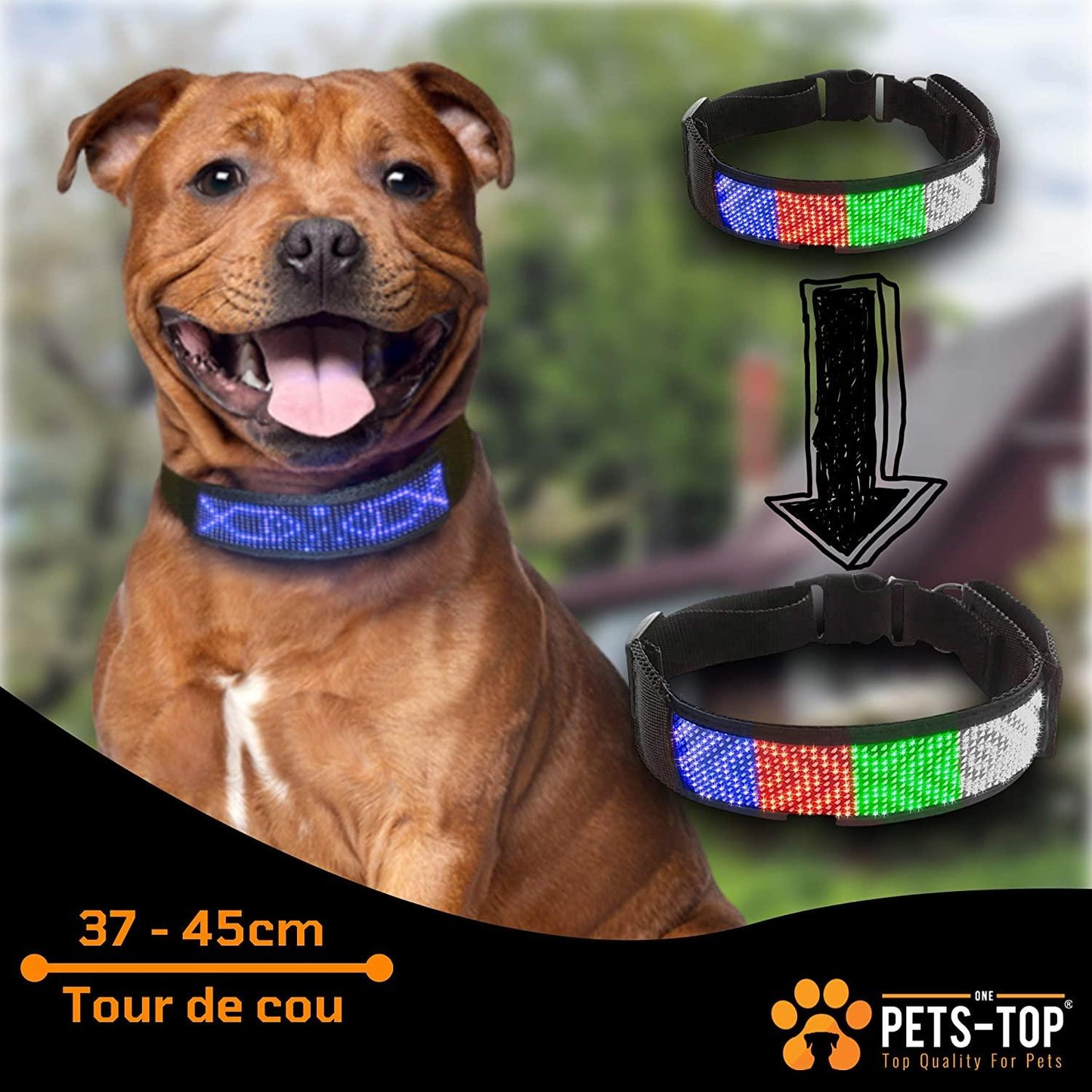 Collier Led Chien Idled™ Rechargeable Lumineux Message Personnalise Ajustable Clignotant One PETS-TOP