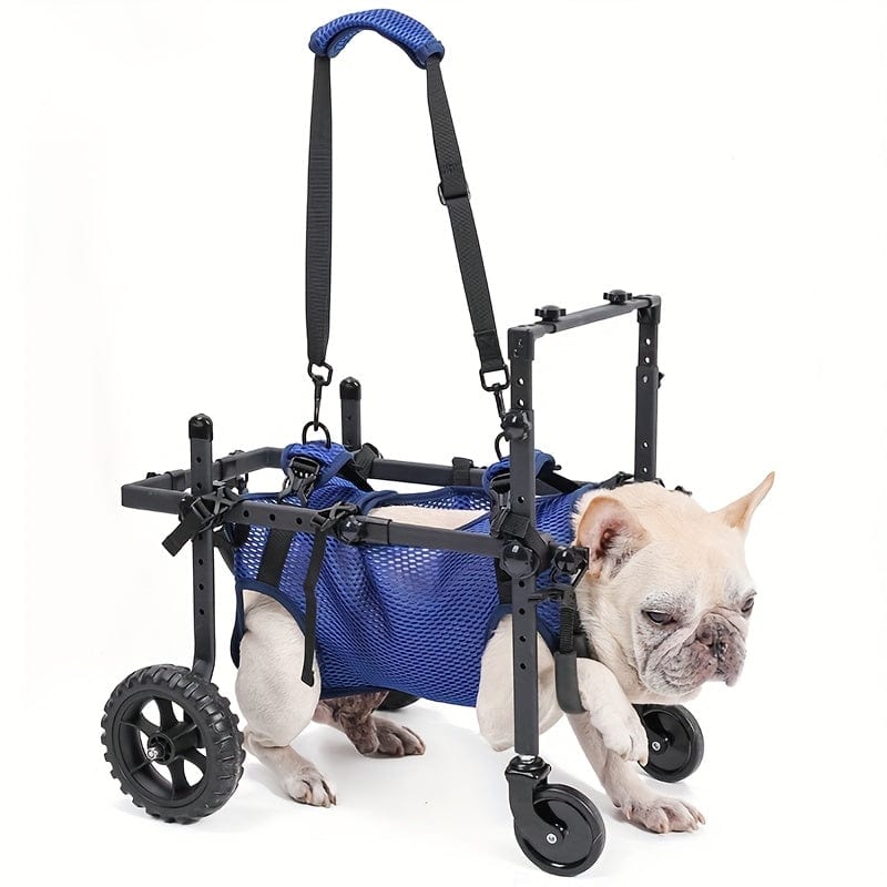 Fauteuil roulant pour chien – Mobilité, rééducation & confort optimal
