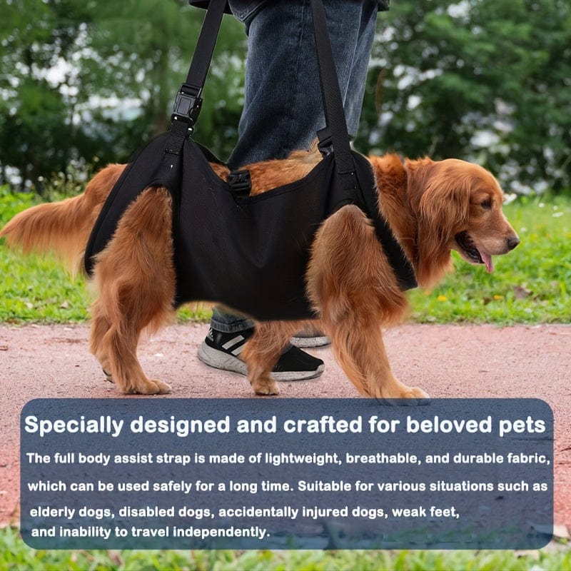 Harnais de soutien pour chien – Aide à la marche, rééducation & levage