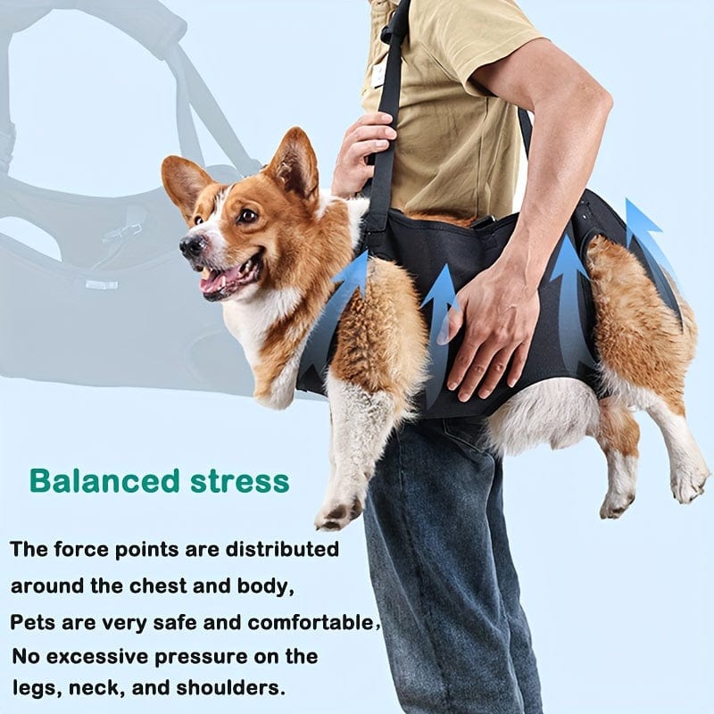 Harnais de soutien pour chien – Aide à la marche, rééducation & levage One PETS-TOP