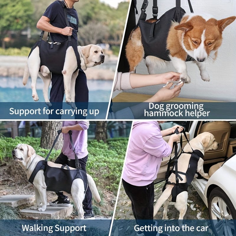 Harnais de soutien pour chien – Assistance mobilité & transport sécurisé One PETS-TOP